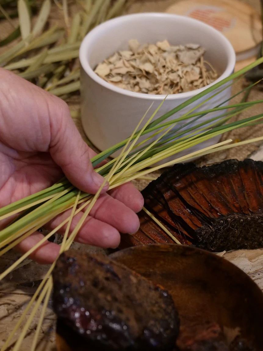 ‘Wretchedness of being exploited’ and other boundaries limiting Indigenous involvement in bush food industry