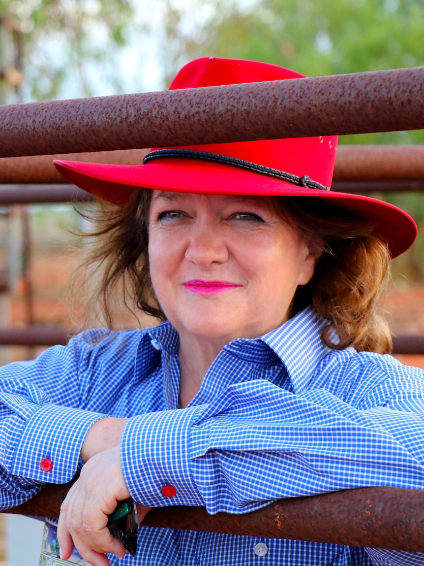 FOI paperwork expose understanding by Gina Rinehart’s firm to mine iron ore at asbestos-riddled Wittenoom