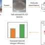 A novel scheme of treating excessive-salinity nitrogenous wastewater