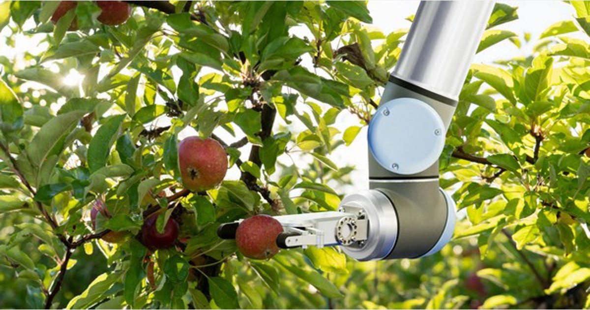 Australia: When will robots be picking fruit? – hortidaily.com