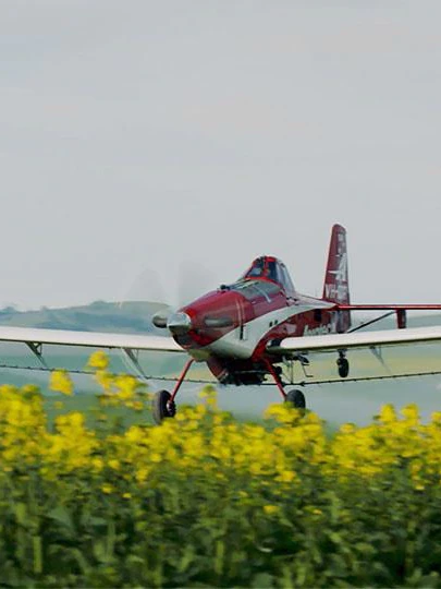 Farmers facing three-week depend on aerial spraying disaster injury has already been executed