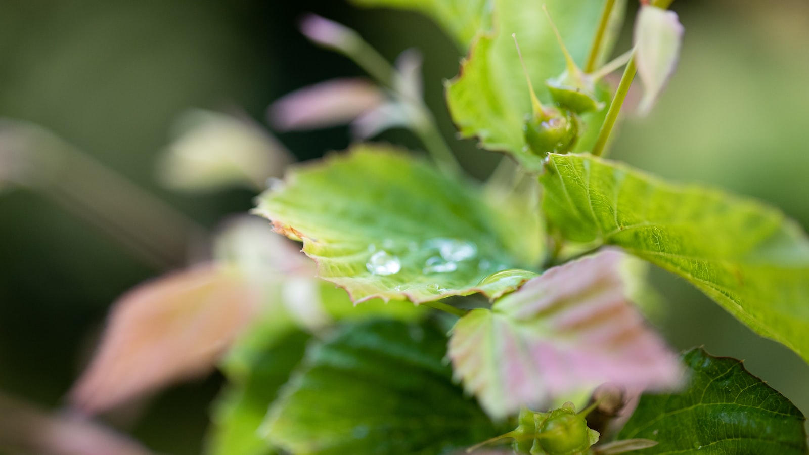 Rewards not just environmental for farmers planting seeds of change