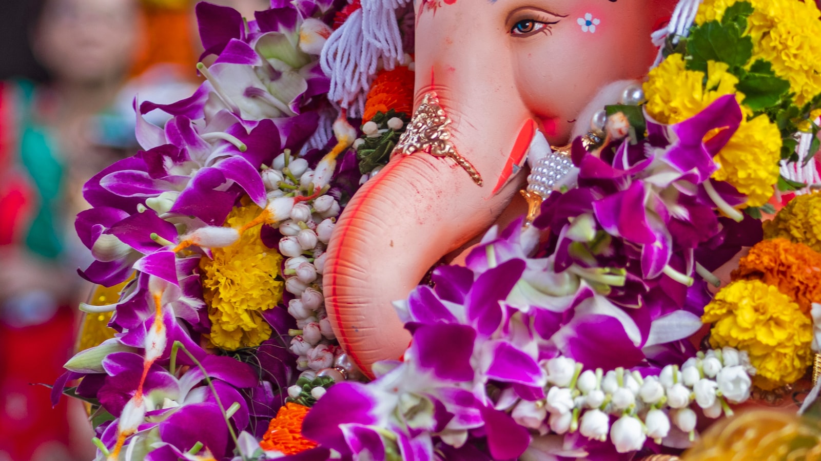 Ganesh Chaturthi becoming themed festival in Vizag