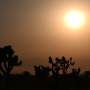 ‘Dangerous’ heat wave hits southwestern US