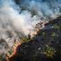 Brazilian Amazon records worst August for fires in 12 years