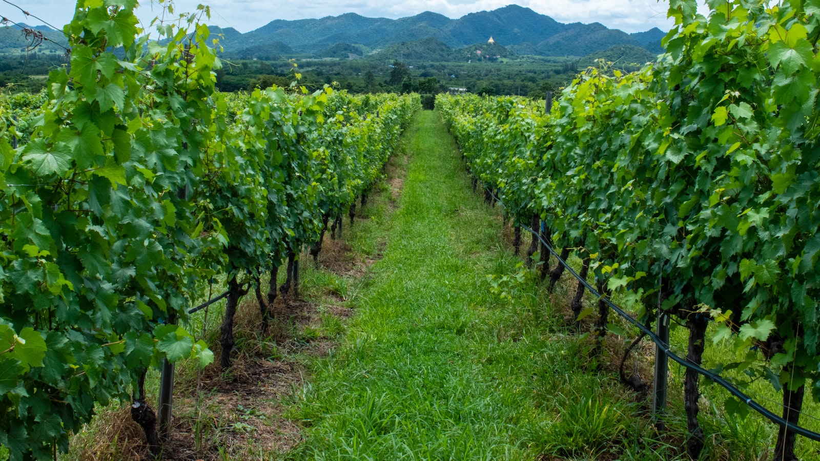 The ‘other’ monsoon is on fire over Tamil Nadu this year