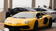 New unique bee parasite found in NSW after unlawful hive motion