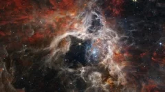 Webb records cosmic tarantula bring to life countless brand-new stars