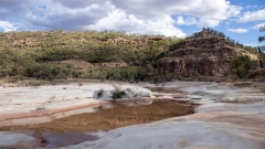 Wilderness Queensland rejoices in ‘the magic noise of rain on the roofing’