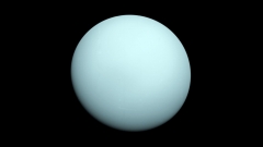 What would you call a Uranus probe? The web’s responses have to do with what you ‘d believe