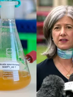 Scientist stimulated by COVID method name brand-new bug after primary health officer Nicola Spurrier