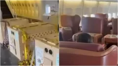 See: Inside Boeing jet that flew cheetahs from Namibia to India