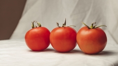 ‘Tomato fever’ makes news once again as Kerala medical professionals reproach the Lancet report