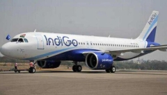 Indigo airplane with Road Safety World Series cricketers grounded at Kanpur: Report|Cricket News