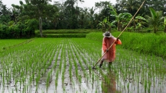 Farmer Wants A Wife: Farmers expose who’s staying and who’s addressing ‘goodbye supper’