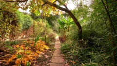 Leave Your Fall Garden Alone