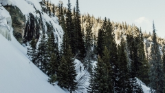 Backcountry visitors are leaving poo stacks in Australia’s Snowy Mountains, and it’s an issue – Phys.org