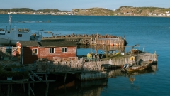 Canada to eliminate all COVID-19 associated travel constraints on October 1