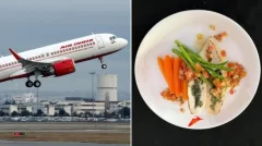 Air India’s brand-new menu functions chicken 65, blueberry vanilla pastry and far more