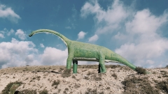 Toys for the abundant: Do multimillion-dollar dinosaur auctions deteriorate rely on science?