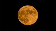 The Hunter’s Moon Will Glow in Peak, Orange Glory This Weekend