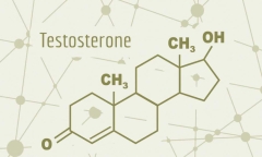 La importancia de aumentar la testosterona en hombres