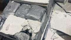 Hydroponic weed worth Rs 39.5 crore took in Mumbai, 2 apprehended
