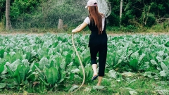 How gardening is assisting individuals turn over a brand-new leaf and improving wellness in a post-pandemic world