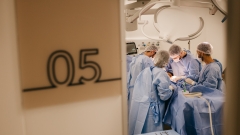 Doença de Lyme: como diagnosticar e abordar?