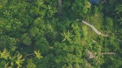 Queensland town of Julia Creek provides $500,000 and rent-free house to discover brand-new GP