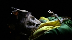 These Mexican mummies draw crowds– and debate