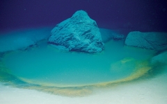 Uncommon Red Sea Brine Pool Holds Secrets of Past Natural Disasters