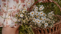 Ukrainian club advises FIFA to get rid of Iran from World Cup