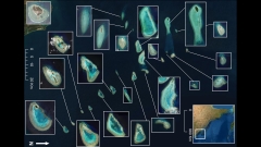 Satellites assist researchers see how reef are handling environment modification