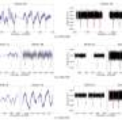 2 low-mass stars and one brown dwarf found around aged stars