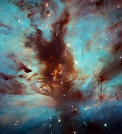 Dark, Dusty Heart: Hubble Captures Swirls of Dust in the Flame Nebula