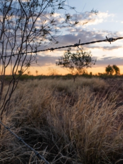 File governing Australia’s biggest water licence under fire from group entrusted with establishing it