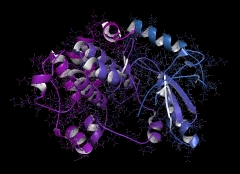 Meta’s brand-new AI simply anticipated the shape of 600 million proteins in 2 weeks