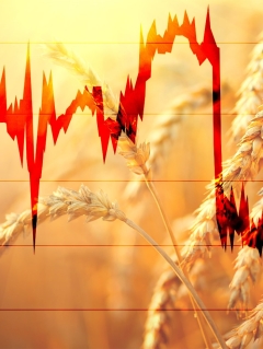 It was a rollercoaster week for wheat. What takes place next?