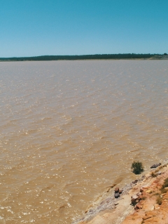 ‘Magic water’ brings intend to drought-stricken wilderness Queensland as dam strikes greatest level in years