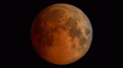 Do Not Miss: Total Lunar Eclipse and Leonid Meteor Shower