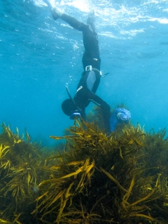 Federal government stopped working to act: Report requires an instant end to Indigenous fishing prosecutions