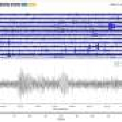 Geoscientists evaluate fans’ earthshaking response to win over Alabama