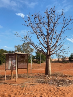 Prepare For Kimberley Indigenous cultural centre reviewed after almost a years