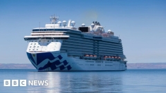 Cruise liner with 800 Covid cases docks in Sydney