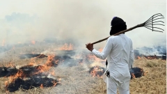 State federal governments to blame for stubble burning not farmers: Rights body