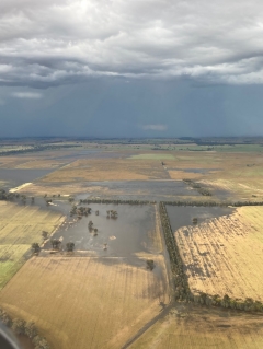 Elders share cost depressions in the middle of harvest washout projection