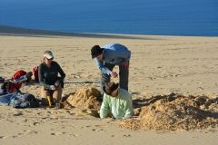 Researchers state sea-level modifications formed Australia’s K’Gari Sand Island, Great Barrier Reef – Phys.org