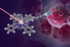 Radical New System Lights Up Cancer Therapy