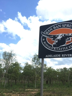 Carbon reduction business pays almost $30 million for NT livestock station